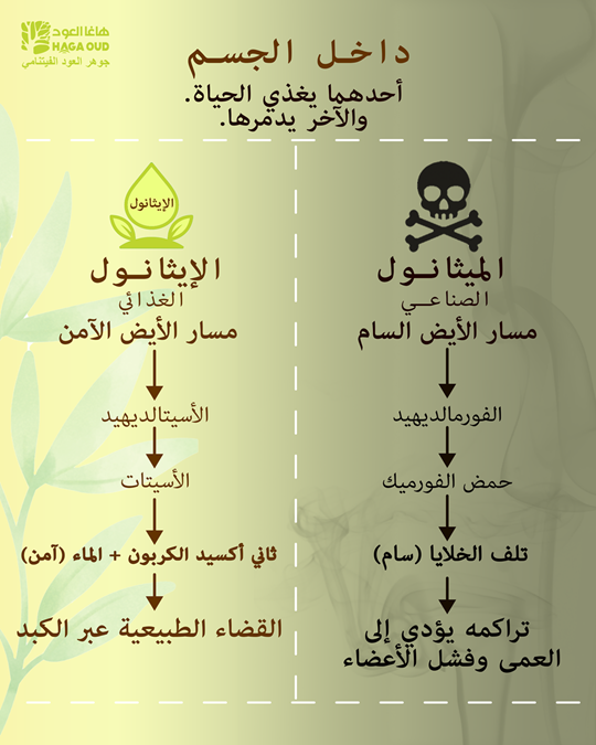 العمليات الأيضية الداخلية: السلامة أم الخطر الخفي