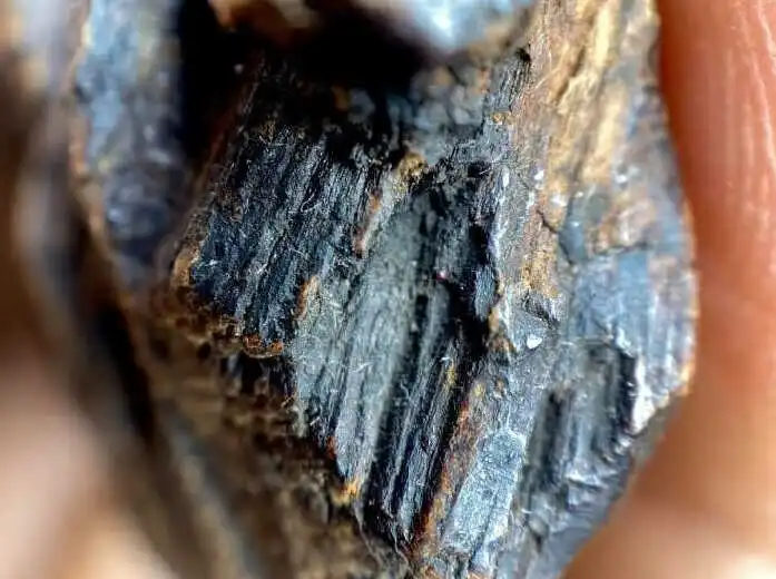 كي نام فيتنام، إنه رمز عطر العود الفاخر في المملكة العربية السعودية