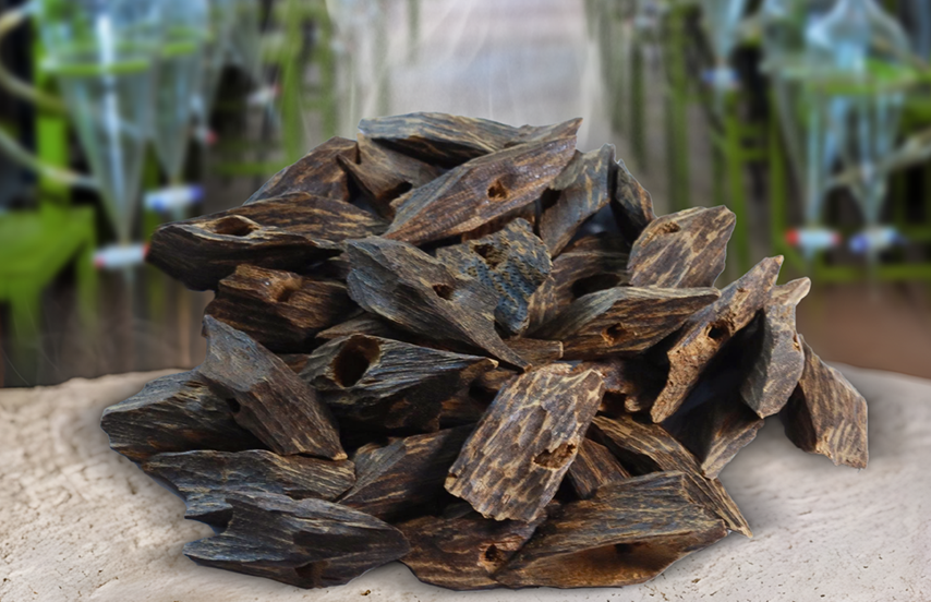 Premium Vietnamese Oud